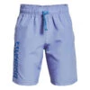 Under Armour Boys Woven Wordmark Shorts Blue S