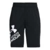 Under Armour Boys Prototype 2 Logo Shorts