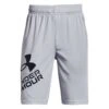 Under Armour Boys Prototype 2 Logo Shorts Grey/Black XS XS